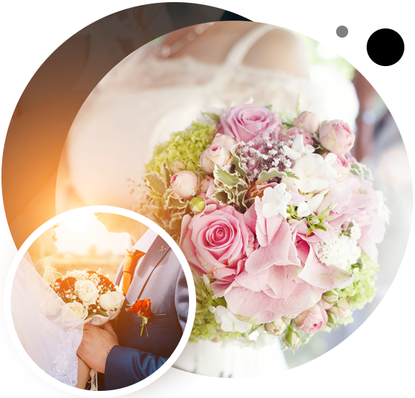 Giới thiệu về Blũ