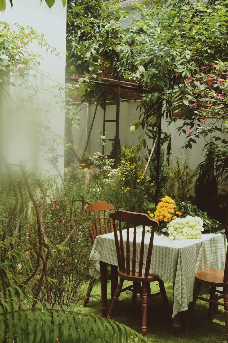 Khu vườn mùa hè