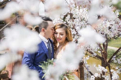 Hình cưới phim trường 