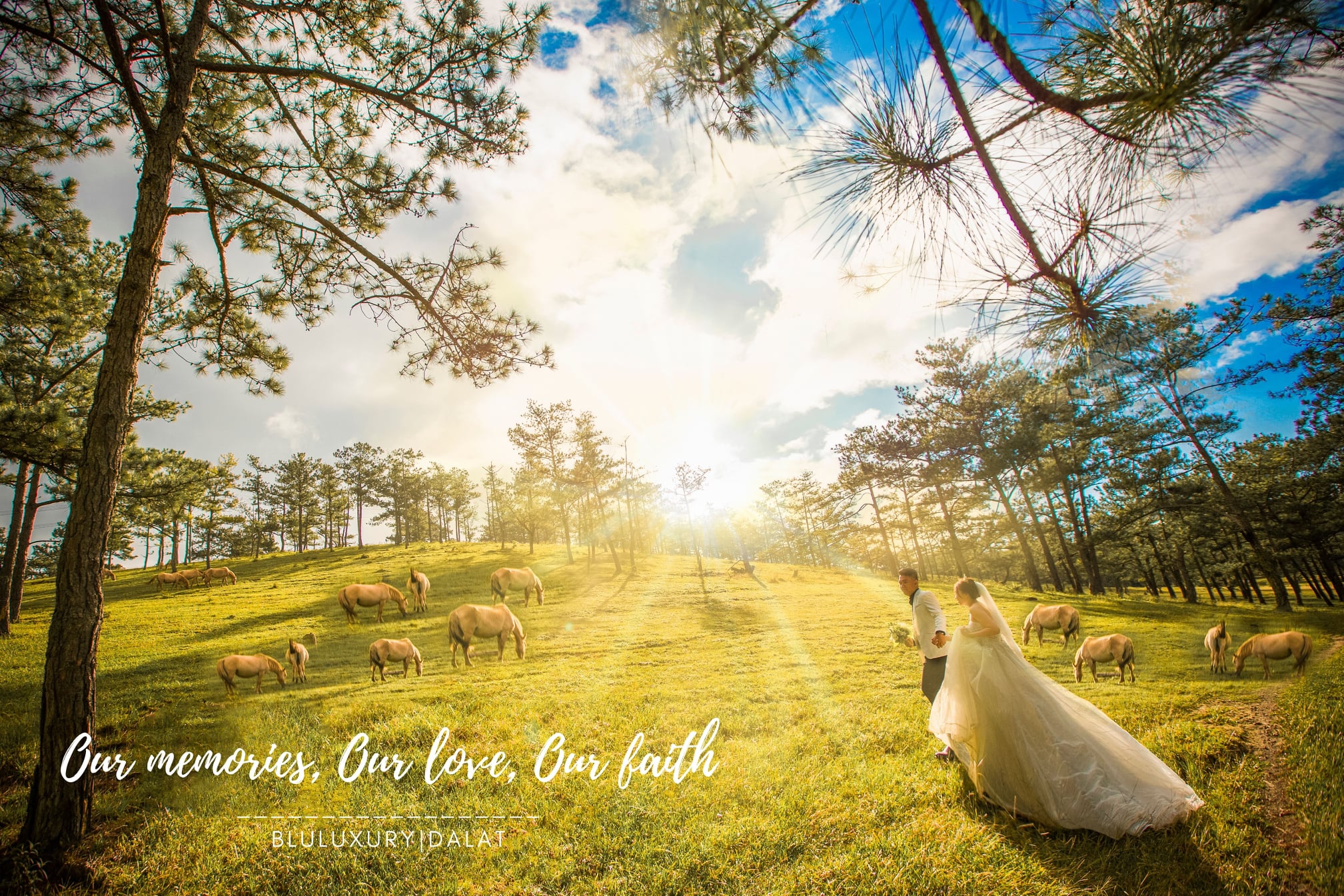 Album ngoại cảnh